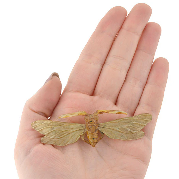 Art Nouveau French Carved Horn Winged Insect Pin - Image 7