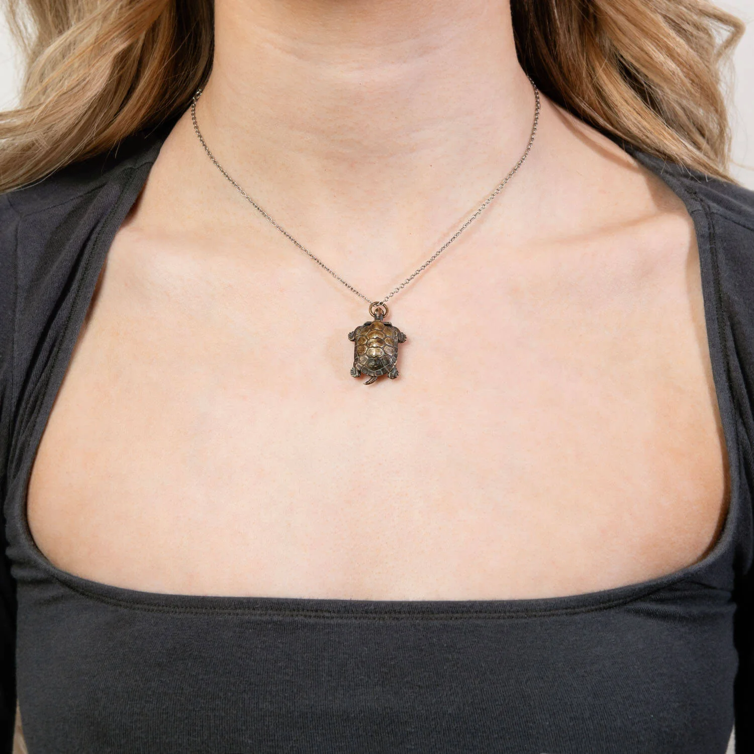 Victorian Japanese Sterling Silver Turtle Compass Pendant - Image 6